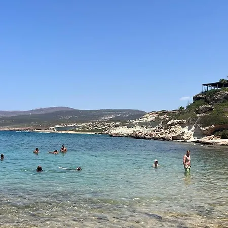 Coral Cove * Пейя