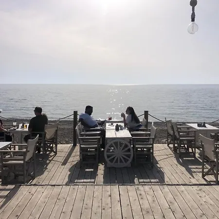 Coral Cove *